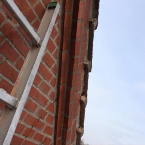 Frostsprængte sten billede 6