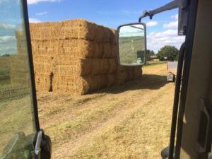 Høsten 2016 halmballer