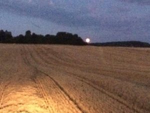 Høsten 2016 halmpresser natarbejde