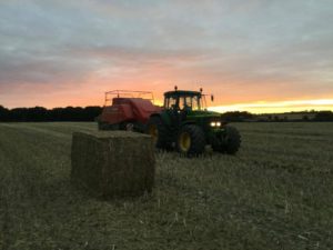 Høsten 2016 traktor presser baller ved solnedgang
