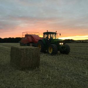 Høsten 2016 traktor presser baller ved solnedgang